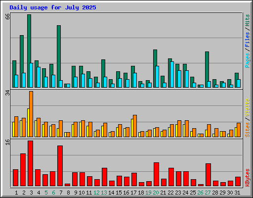 Daily usage for July 2025
