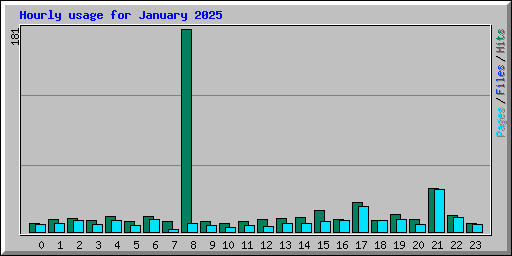 Hourly usage for January 2025