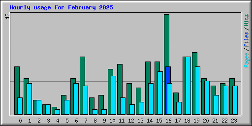 Hourly usage for February 2025